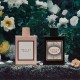 Gucci Bloom Intense